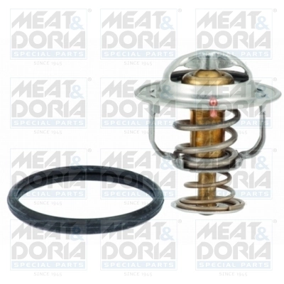 Thermostat, coolant